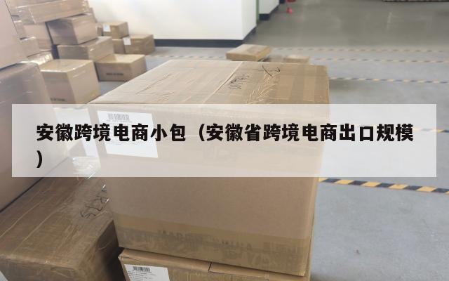 安徽跨境电商小包(安徽省跨境电商出口规模)