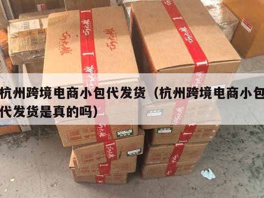 杭州跨境电商小包代发货(杭州跨境电商小包代发货是真的吗)