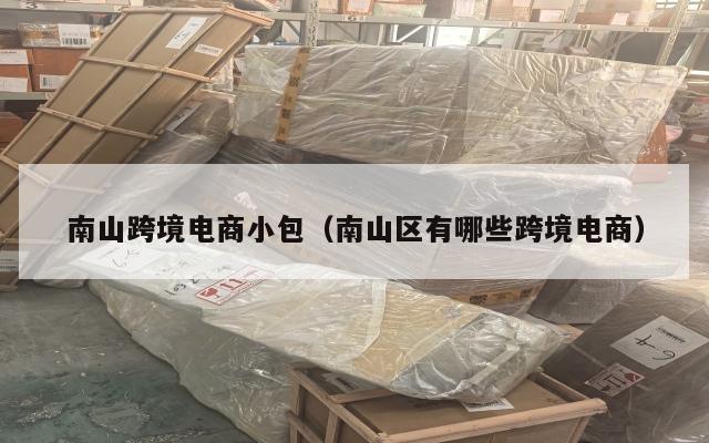 南山跨境电商小包(南山区有哪些跨境电商)