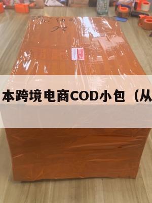 南京到日本跨境电商COD小包(从南京到日本)