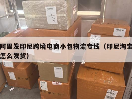 阿里发印尼跨境电商小包物流专线(印尼淘宝怎么发货)