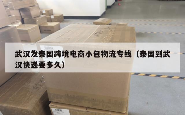 武汉发泰国跨境电商小包物流专线(泰国到武汉快递要多久)