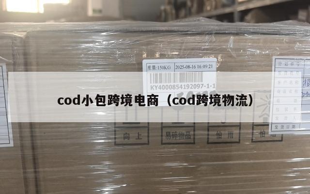 cod小包跨境电商(cod跨境物流)