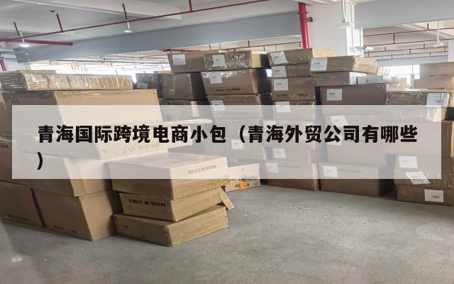 青海国际跨境电商小包(青海外贸公司有哪些)