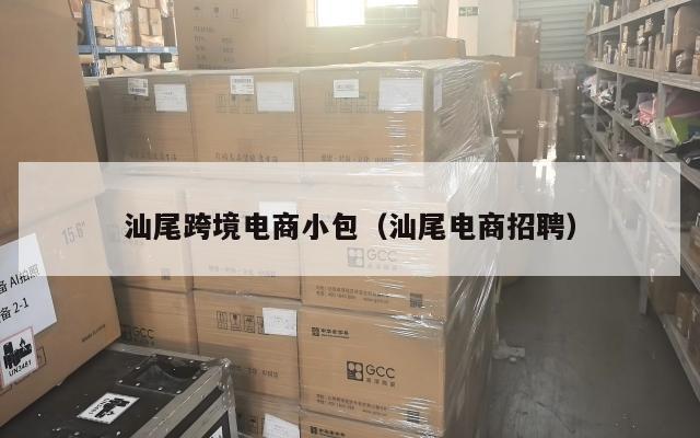 汕尾跨境电商小包(汕尾电商招聘)