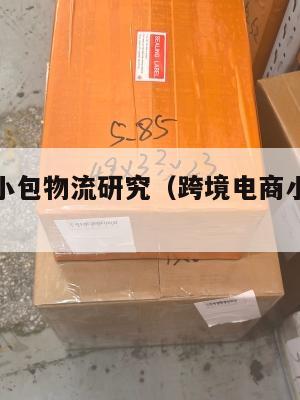 跨境电商小包物流研究(跨境电商小包物流排行)