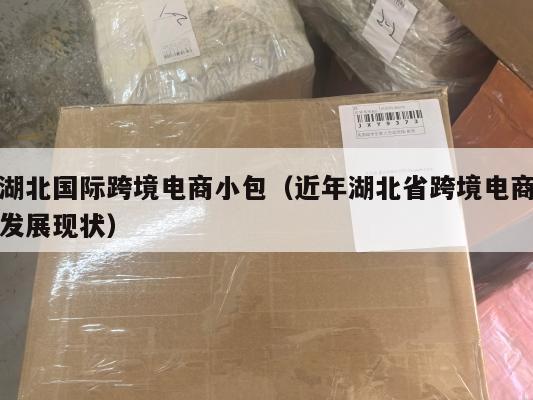 湖北国际跨境电商小包(近年湖北省跨境电商发展现状)