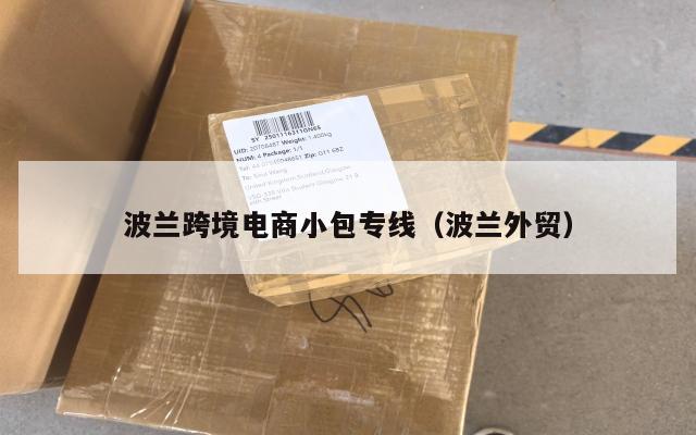 波兰跨境电商小包专线(波兰外贸)