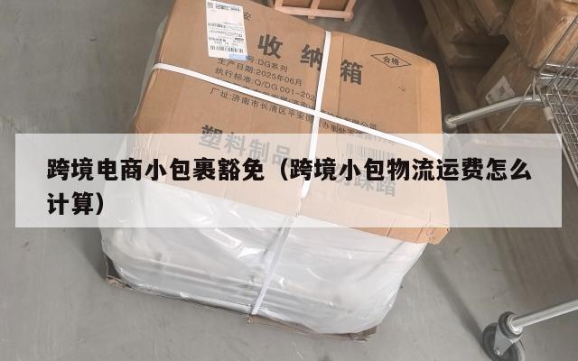 跨境电商小包裹豁免(跨境小包物流运费怎么计算)