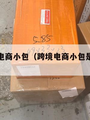 河北跨境电商小包(跨境电商小包是什么意思)