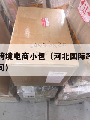 河北国际跨境电商小包(河北国际跨境电商小包物流公司)