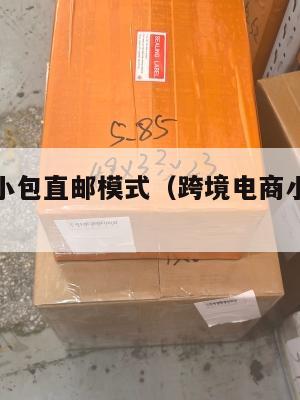 跨境电商小包直邮模式(跨境电商小包寄递特点)