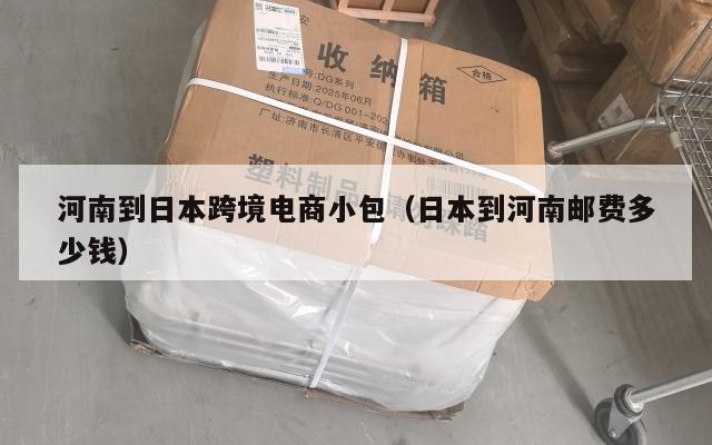 河南到日本跨境电商小包(日本到河南邮费多少钱)