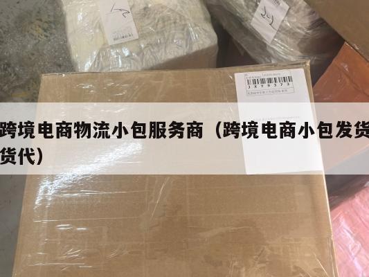 跨境电商物流小包服务商(跨境电商小包发货货代)