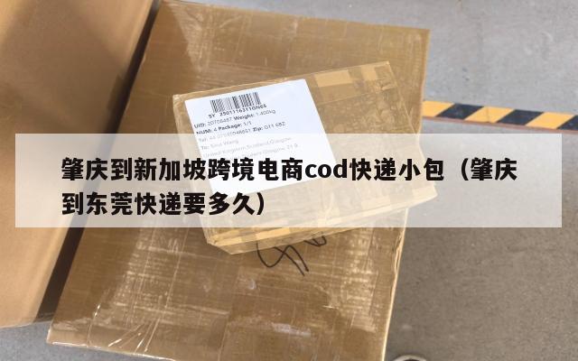 肇庆到新加坡跨境电商cod快递小包(肇庆到东莞快递要多久)