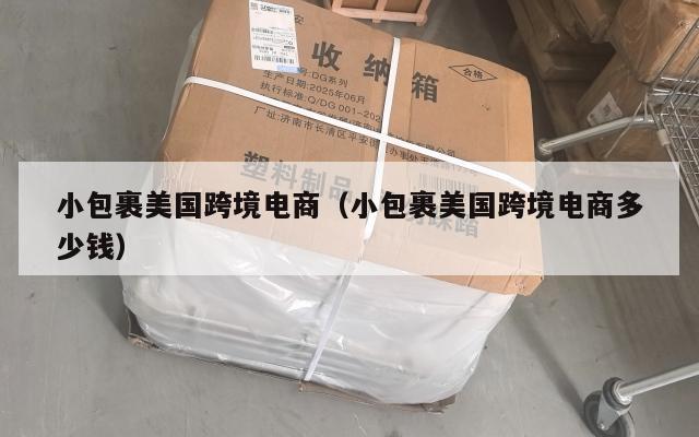 小包裹美国跨境电商(小包裹美国跨境电商多少钱)