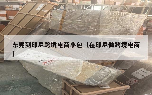 东莞到印尼跨境电商小包(在印尼做跨境电商)