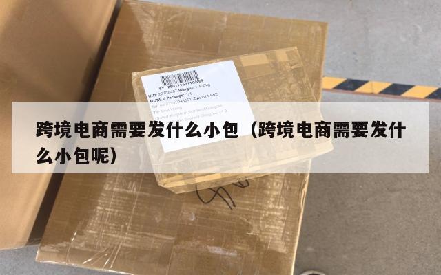 跨境电商需要发什么小包(跨境电商需要发什么小包呢)