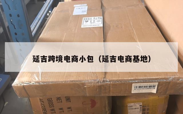 延吉跨境电商小包(延吉电商基地)
