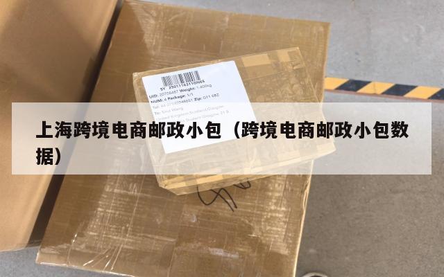 上海跨境电商邮政小包(跨境电商邮政小包数据)