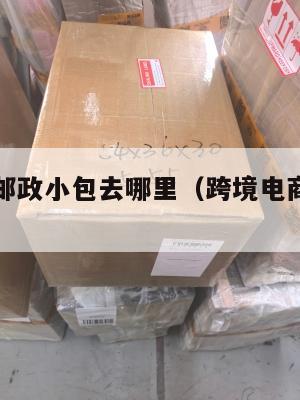 跨境电商邮政小包去哪里(跨境电商邮政包裹)