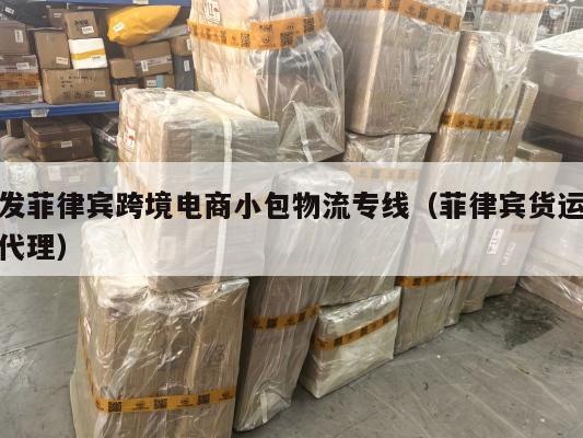 发菲律宾跨境电商小包物流专线(菲律宾货运代理)